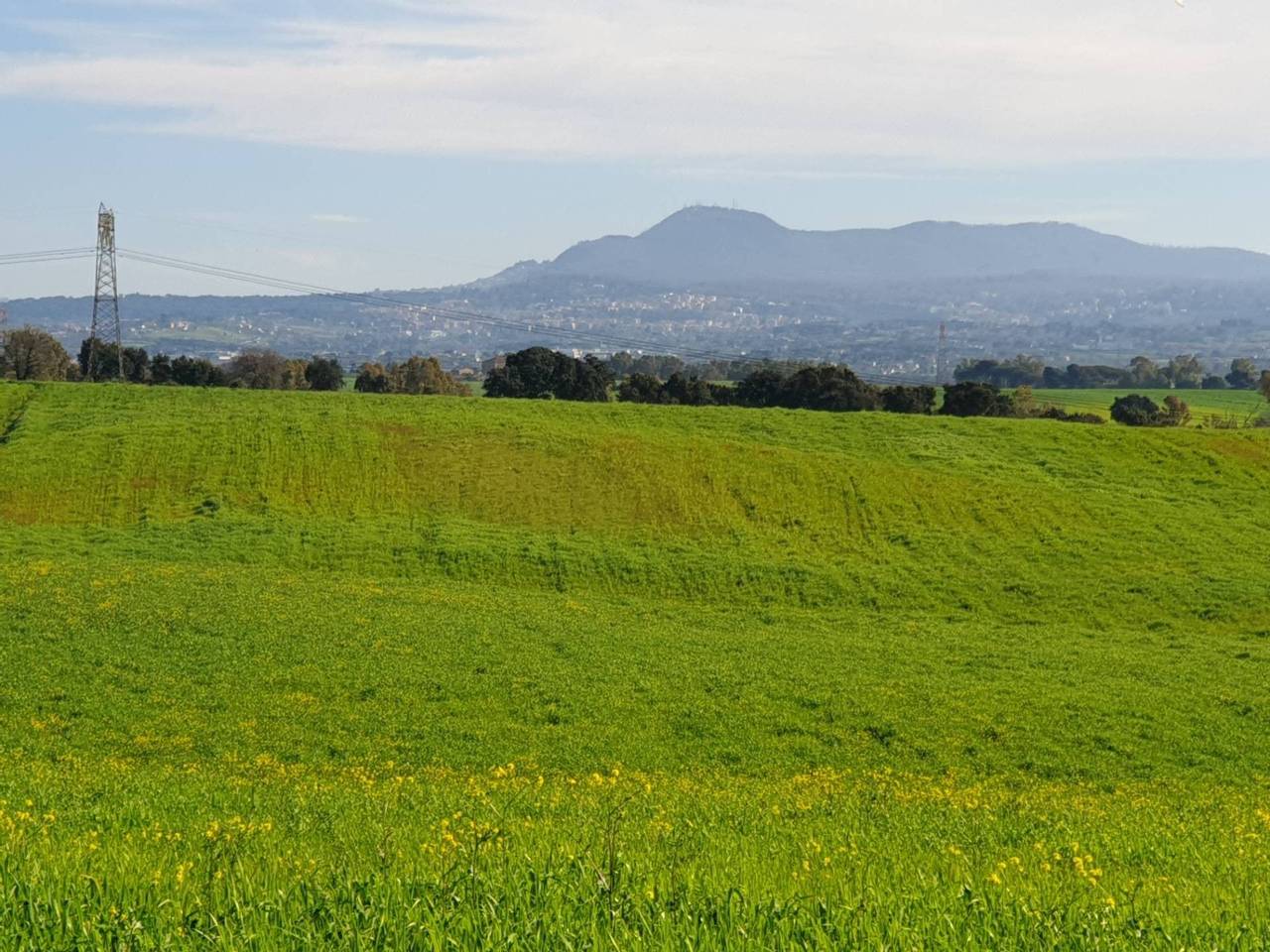 immagine annuncio 7 di 13