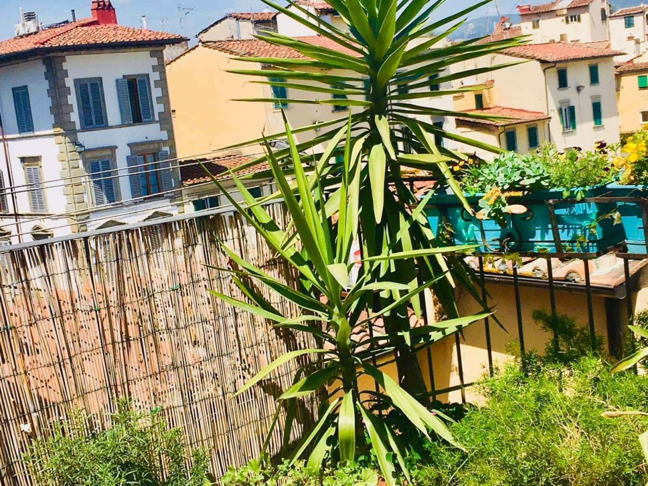 immagine annuncio 10 di 14