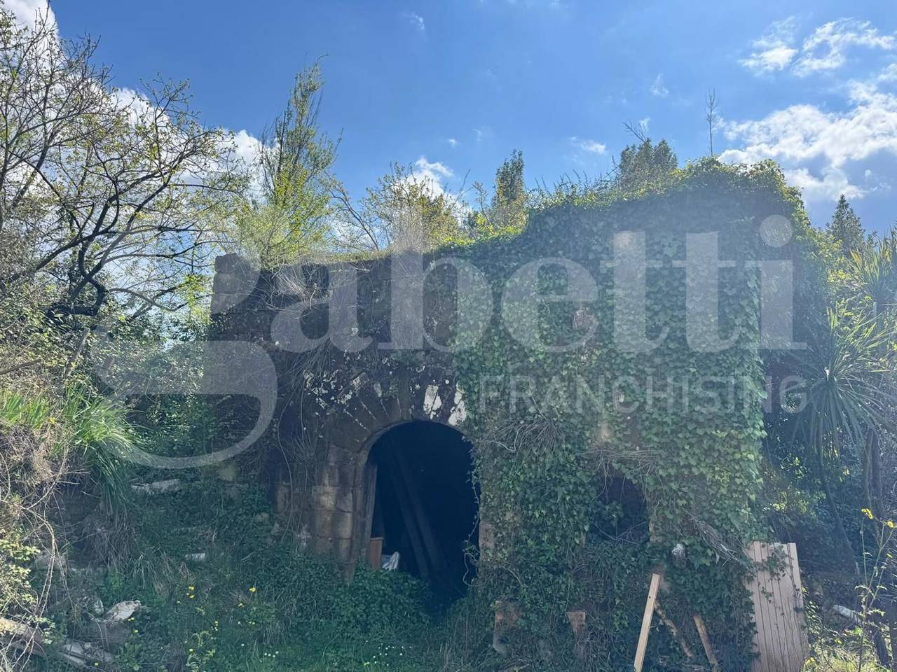 immagine annuncio 2 di 9