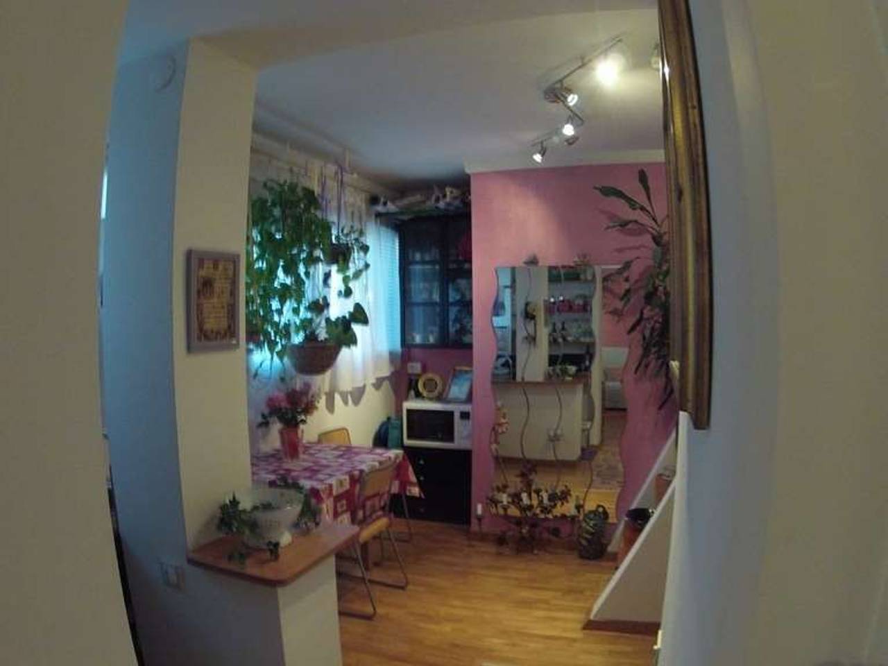 immagine annuncio 3 di 14