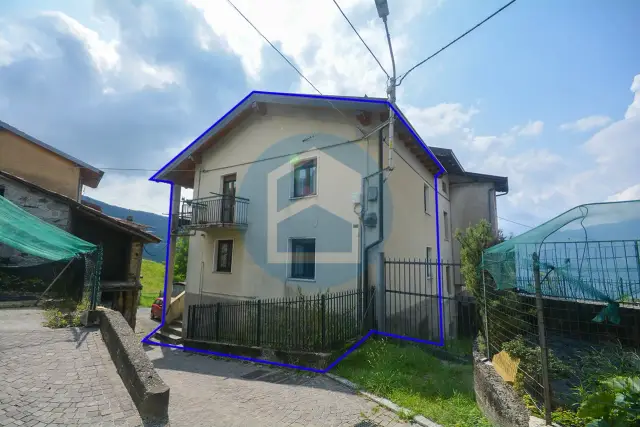 insertion image