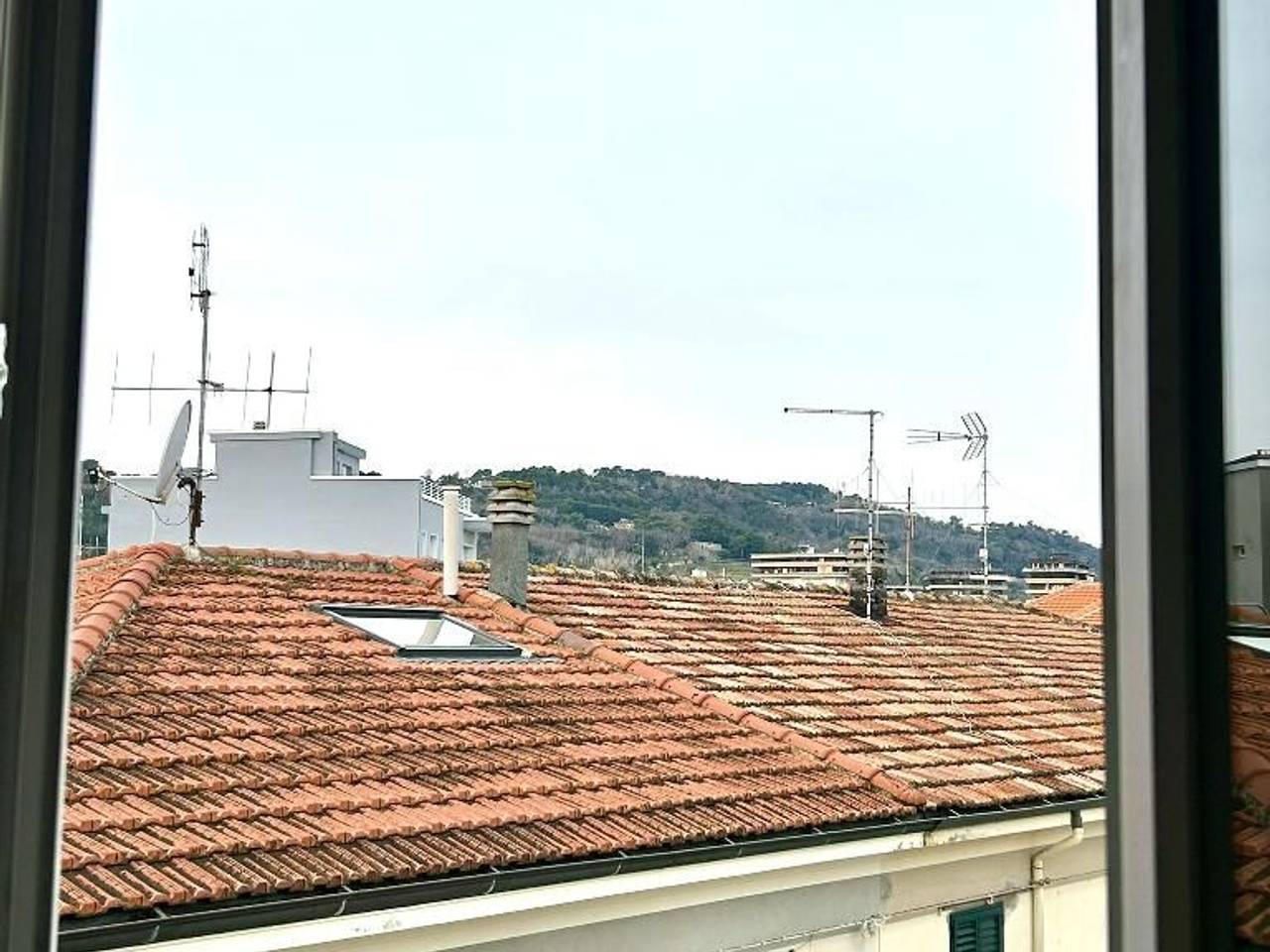 immagine annuncio 7 di 9