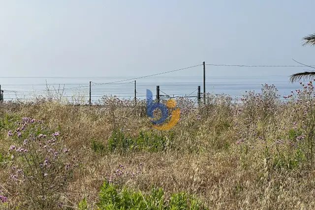 insertion image