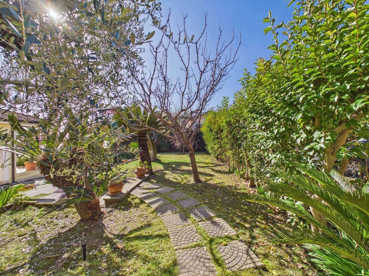 immagine annuncio 7 di 15