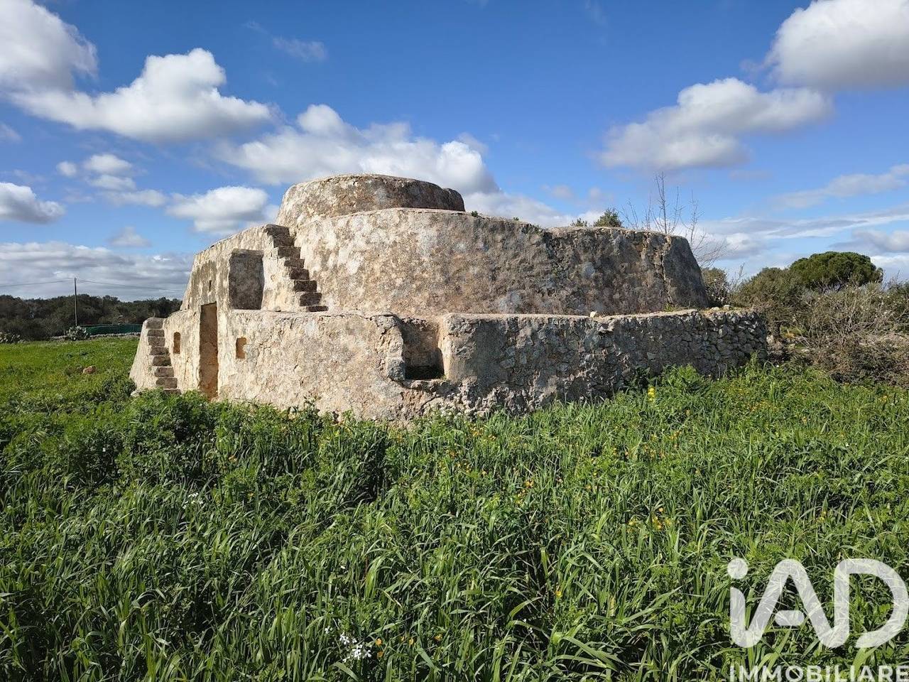 immagine annuncio 1 di 8