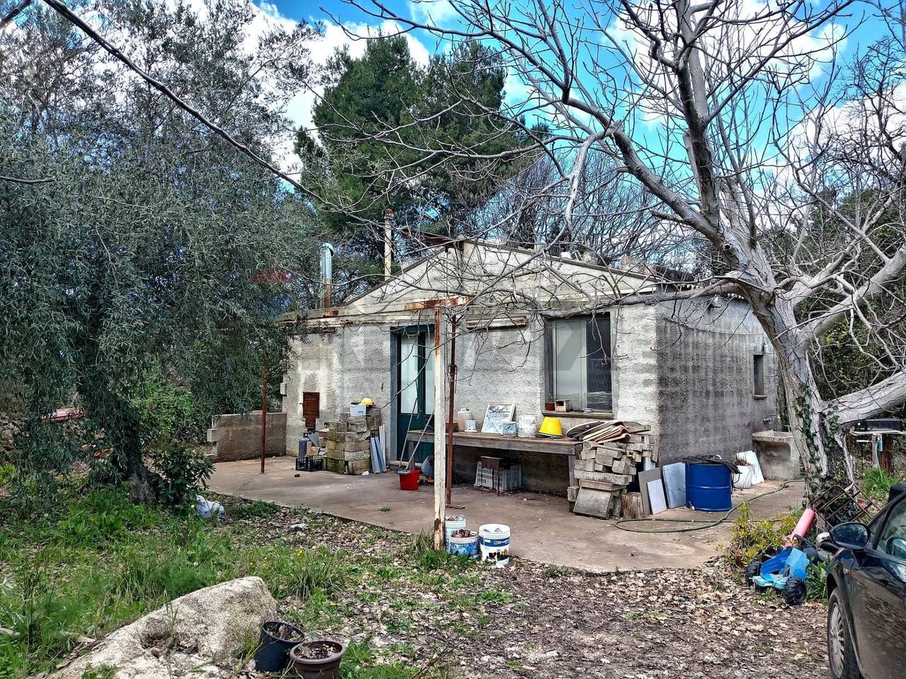 immagine annuncio 12 di 13