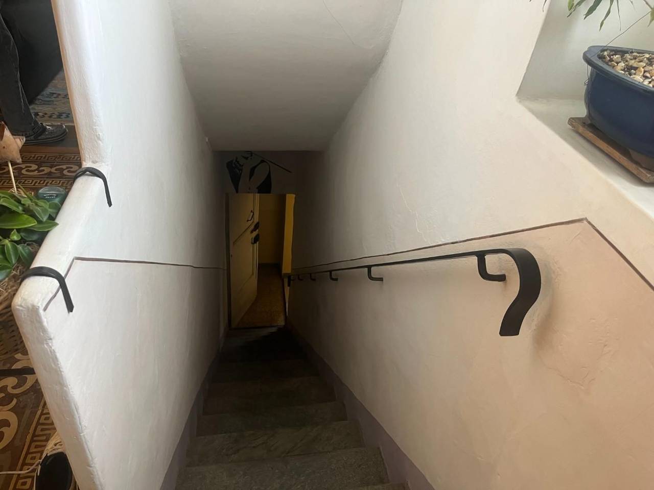 immagine annuncio 10 di 14