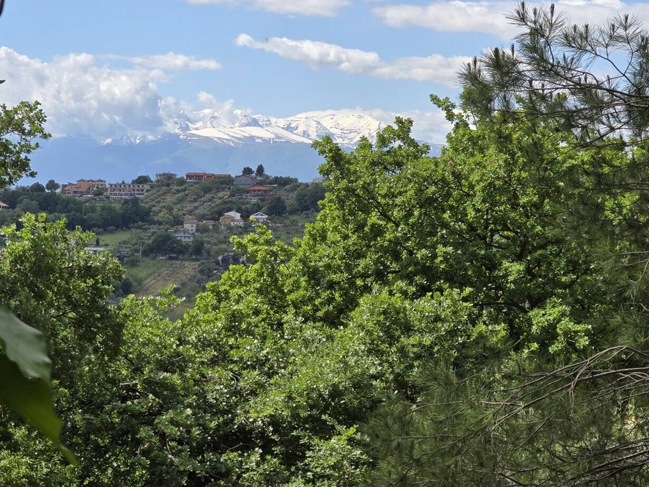 immagine annuncio 4 di 14