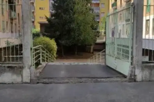 insertion image