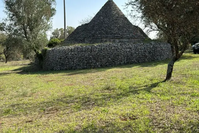 Einfamilienhaus in Contrada Pascarosa, Ostuni - Foto 1