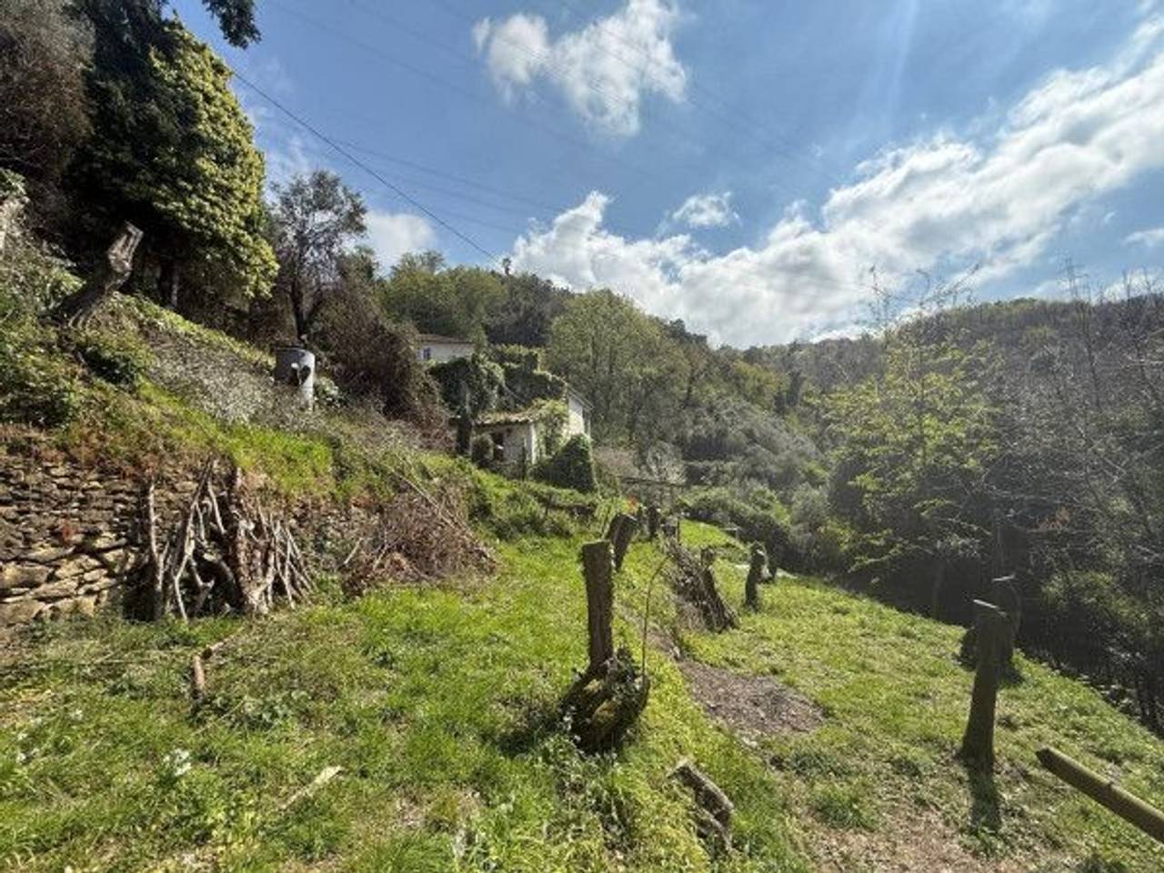 immagine annuncio 2 di 13