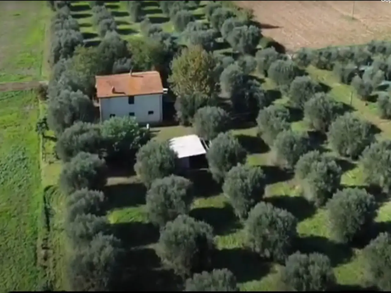 Azienda agricola in Zona Campagnatico, Campagnatico, Grosseto, Campagnatico, {3} - Foto 1