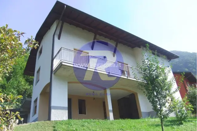insertion image
