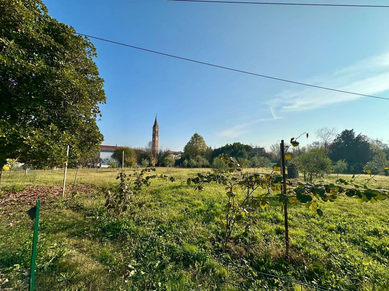 immagine annuncio 7 di 8