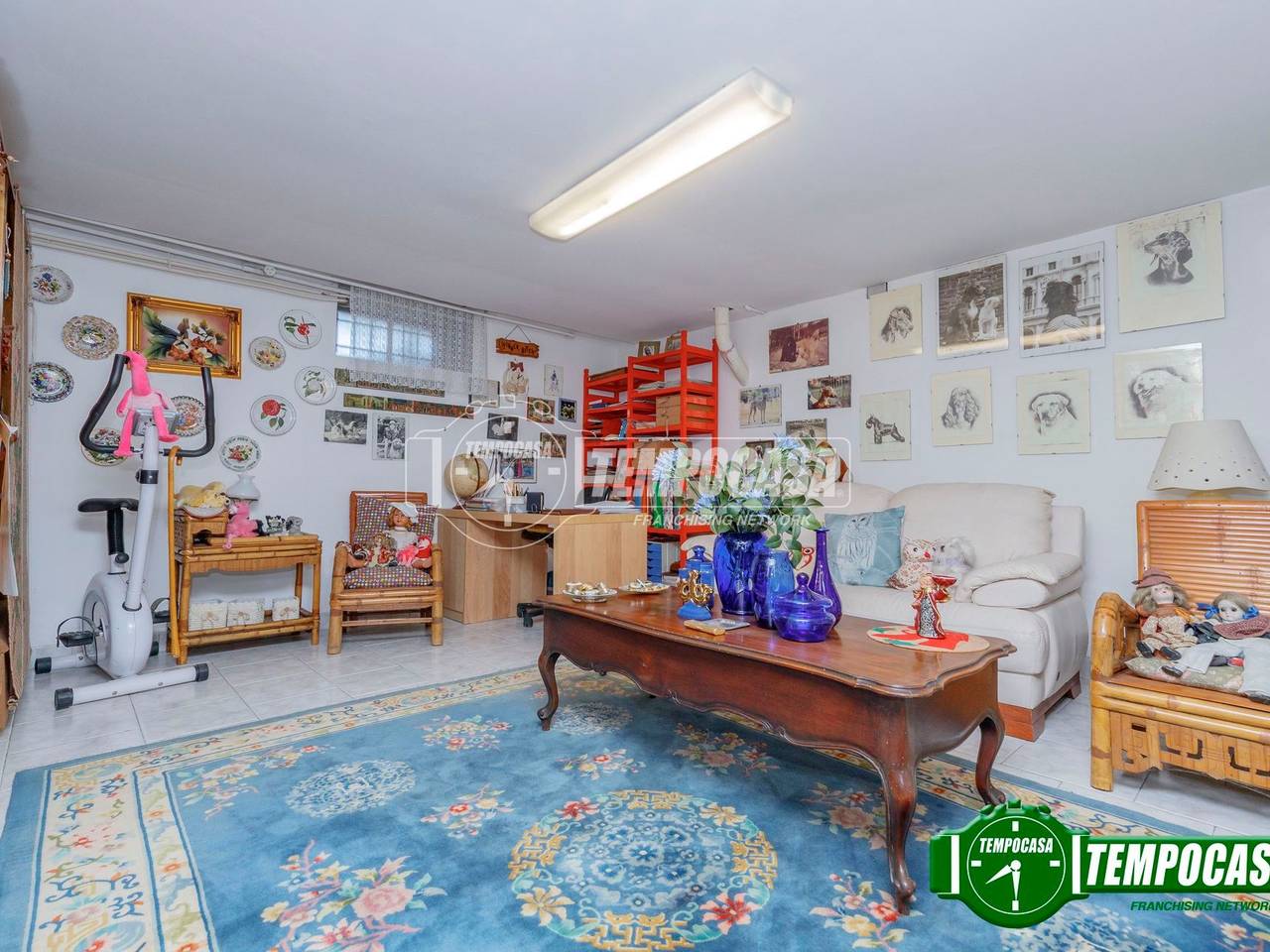 immagine annuncio 13 di 15