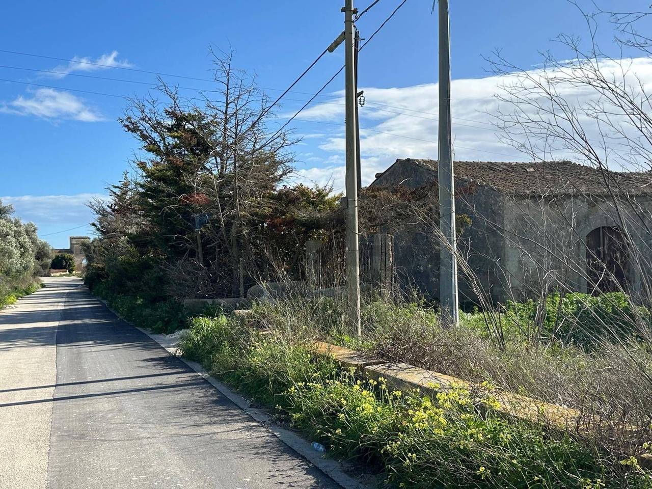 immagine annuncio 1 di 3