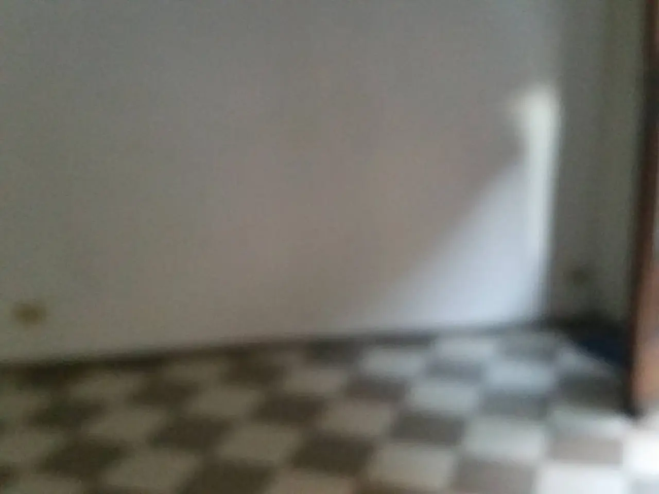 Esercizio commerciale in Via Giuseppe Garibaldi, Pisa, {3} - Foto 2