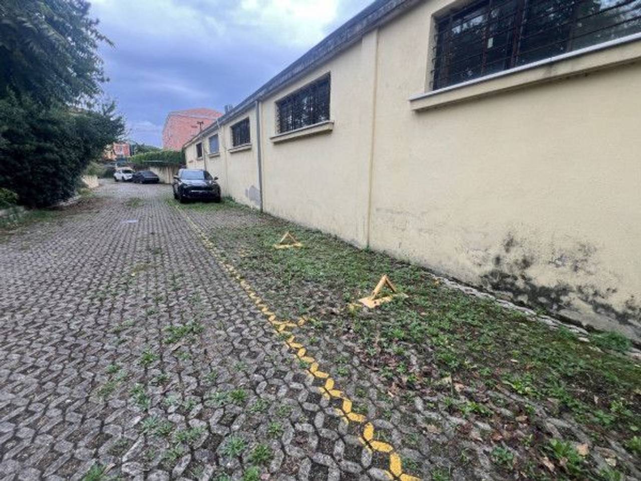 immagine annuncio 3 di 6