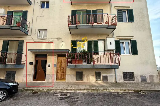 insertion image