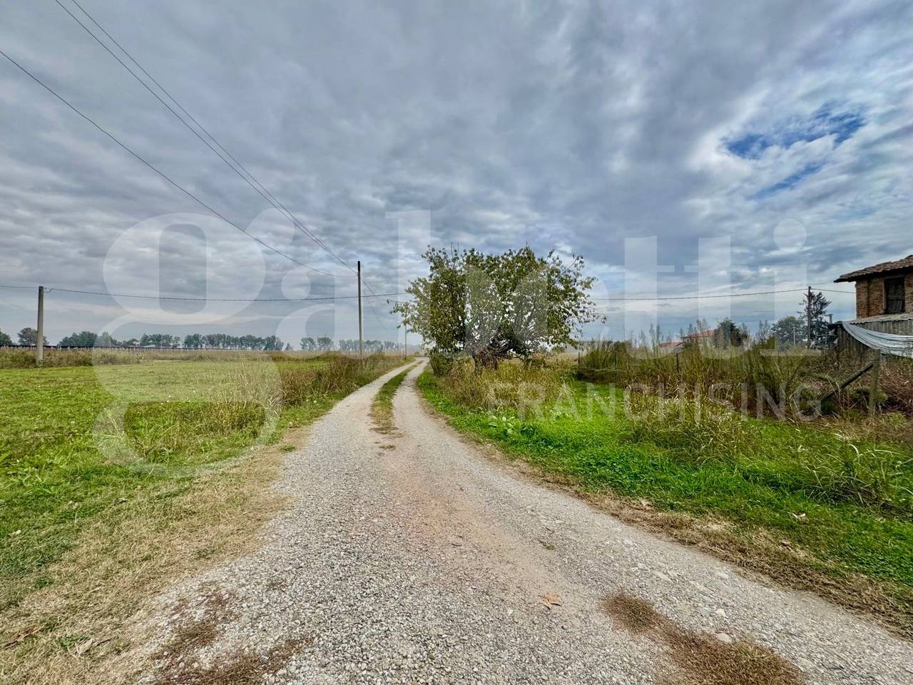 immagine annuncio 1 di 4