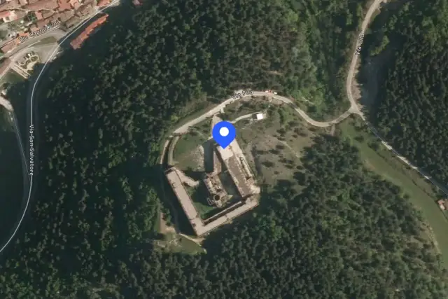insertion image