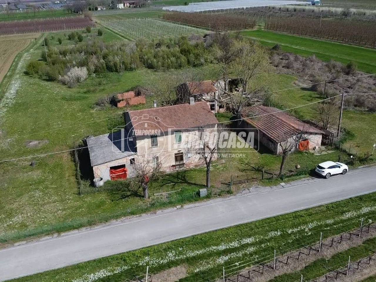 immagine annuncio 2 di 12