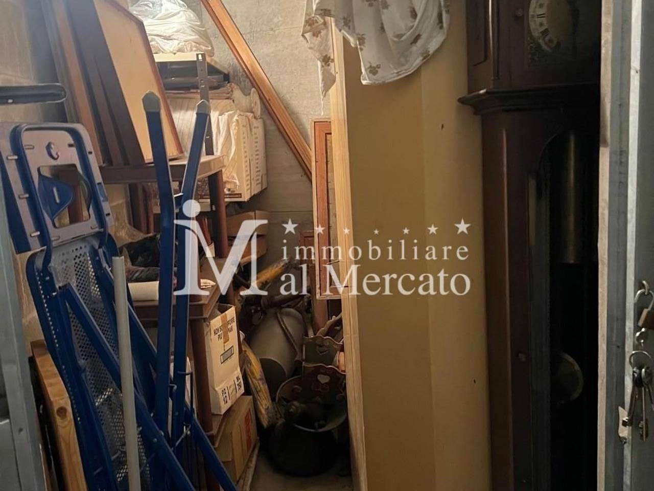 immagine annuncio 5 di 14