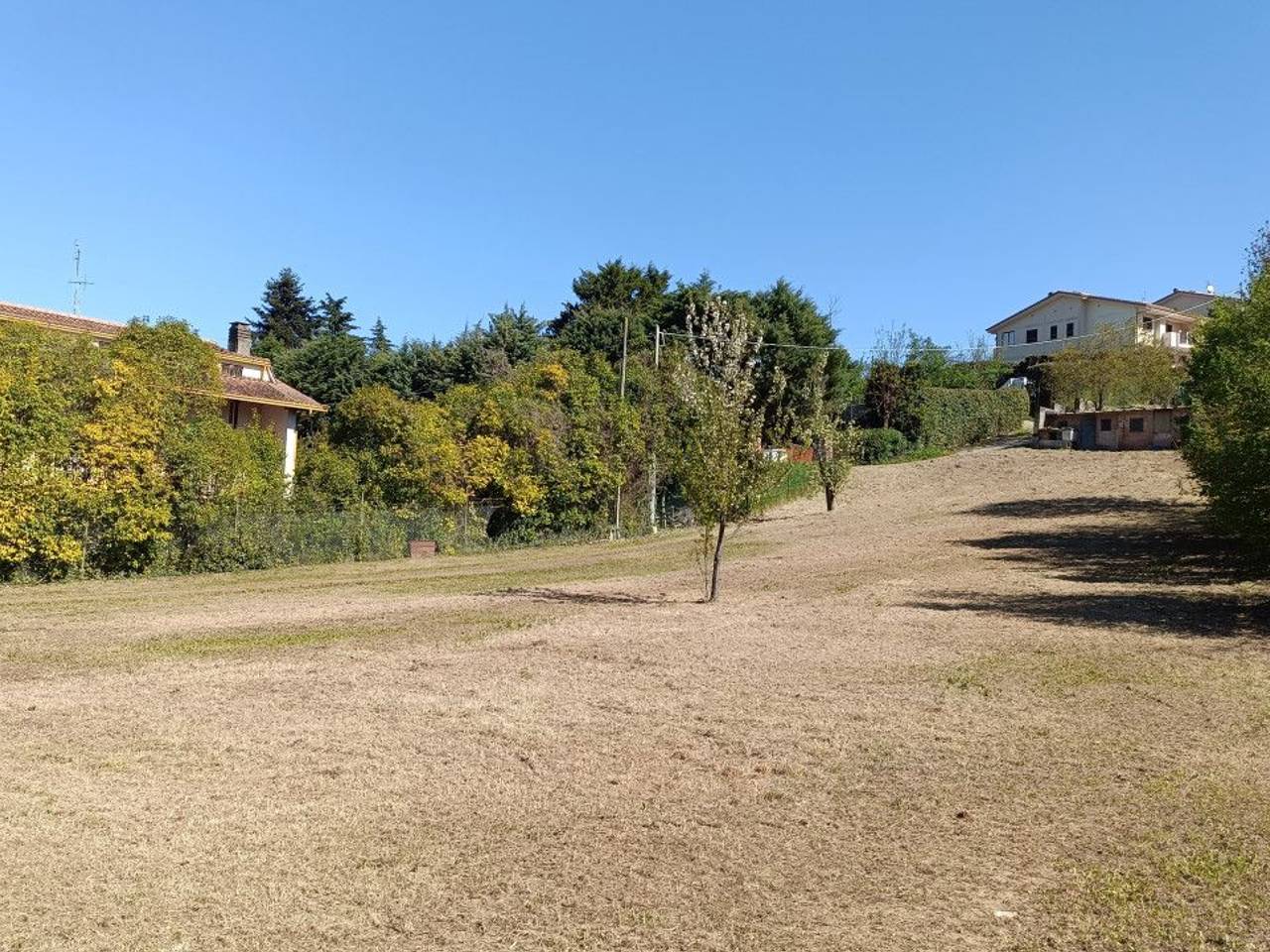 immagine annuncio 2 di 6