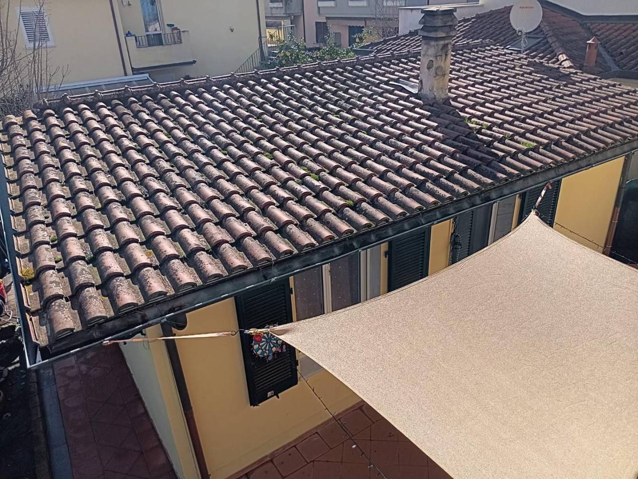 immagine annuncio 4 di 11