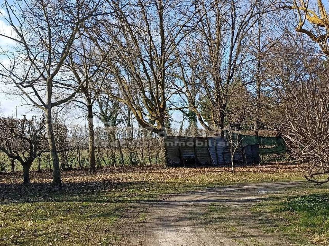 immagine annuncio 5 di 13