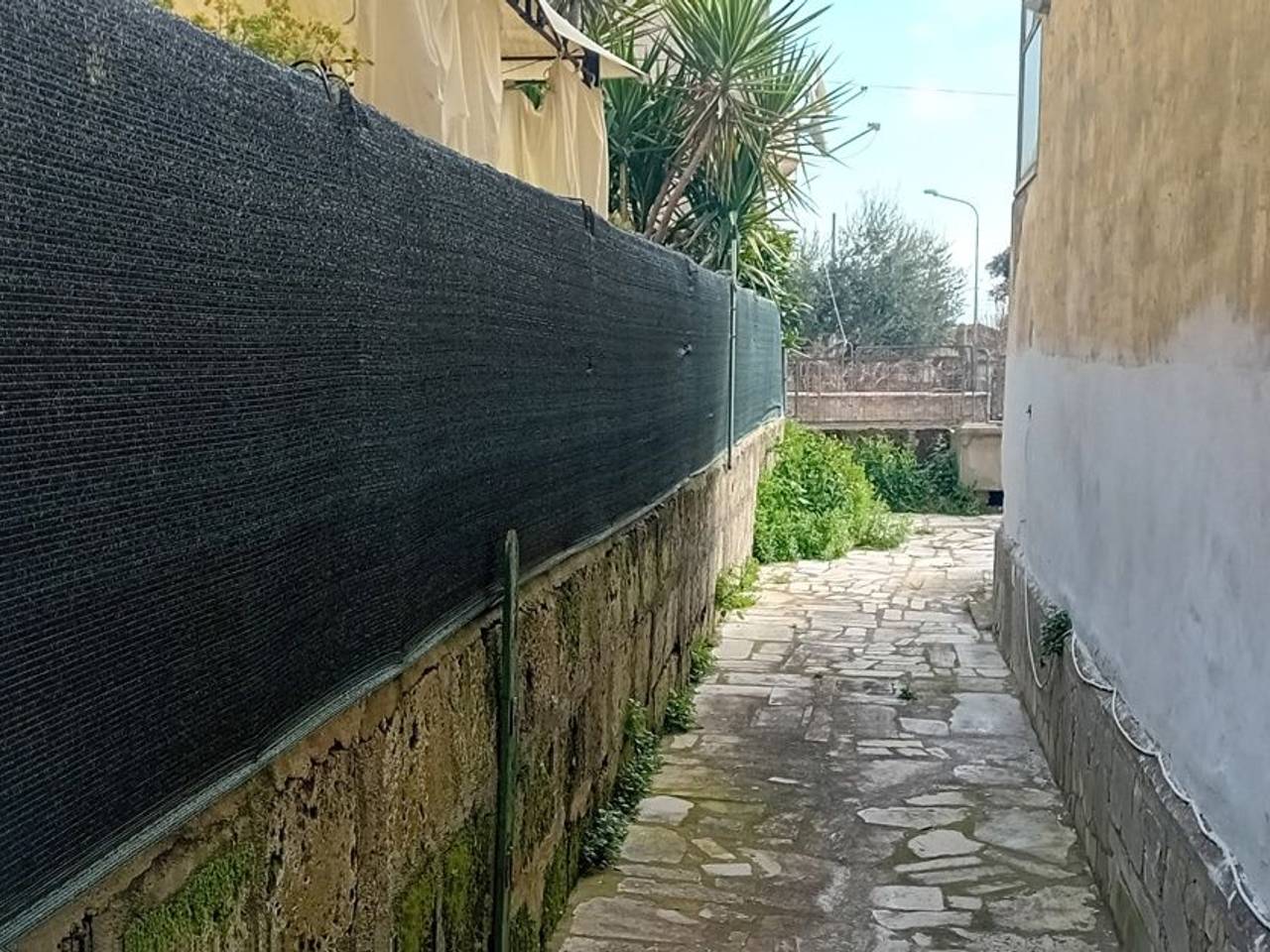 immagine annuncio 13 di 14