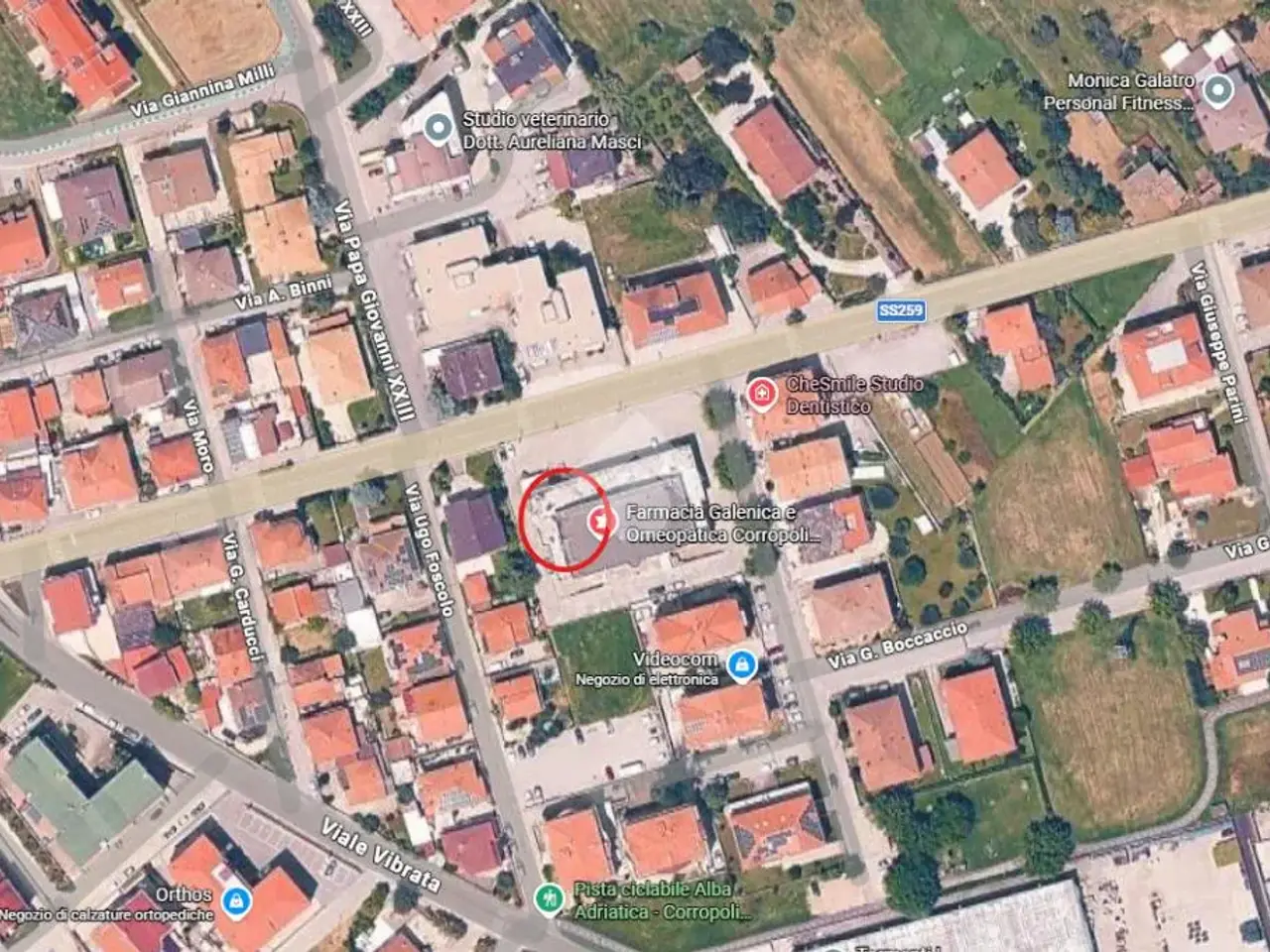 Negozio in Viale Adriatico 30, Corropoli, {3} - Planimetria 1