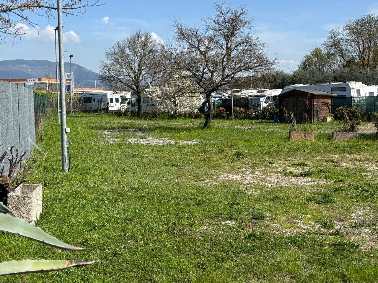 immagine annuncio 8 di 13