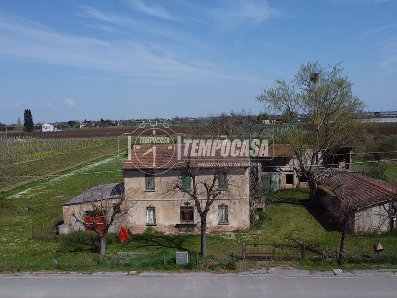 immagine annuncio 6 di 12