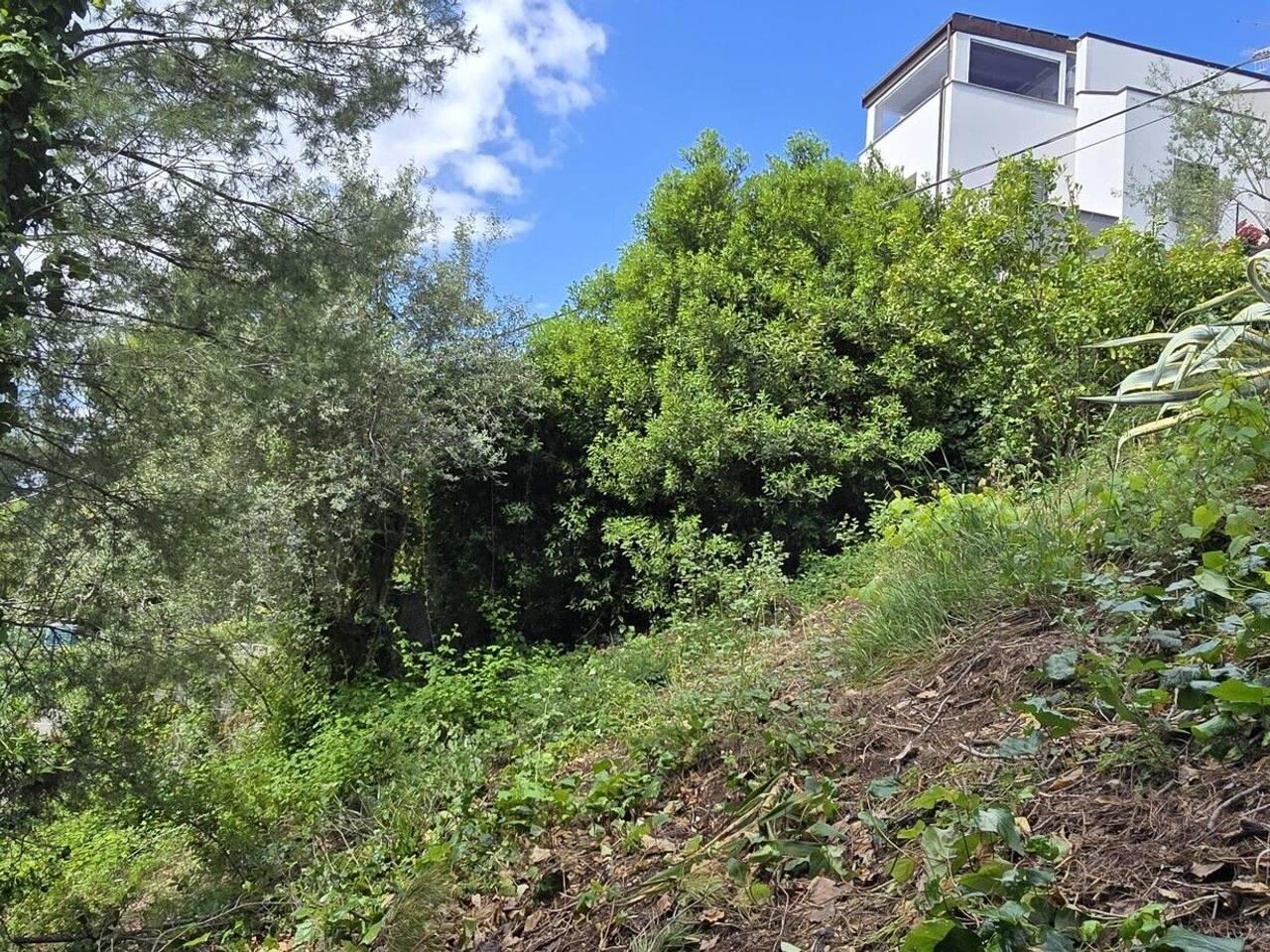 immagine annuncio 6 di 14