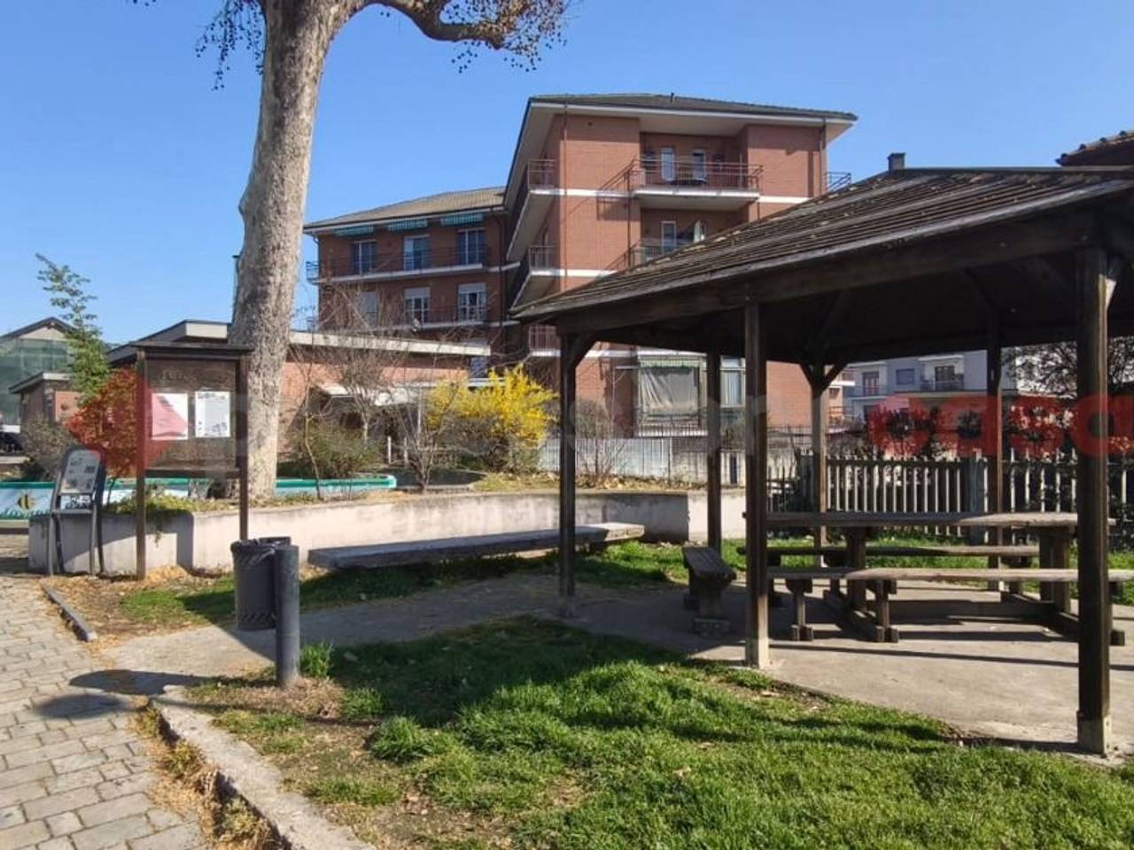 immagine annuncio 11 di 13