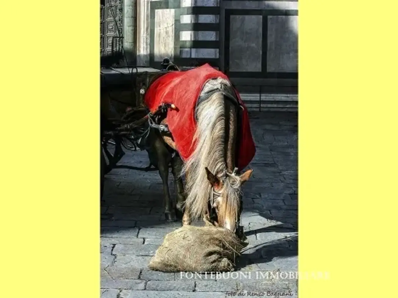 Ristorante in , Firenze, {3} - Foto 2