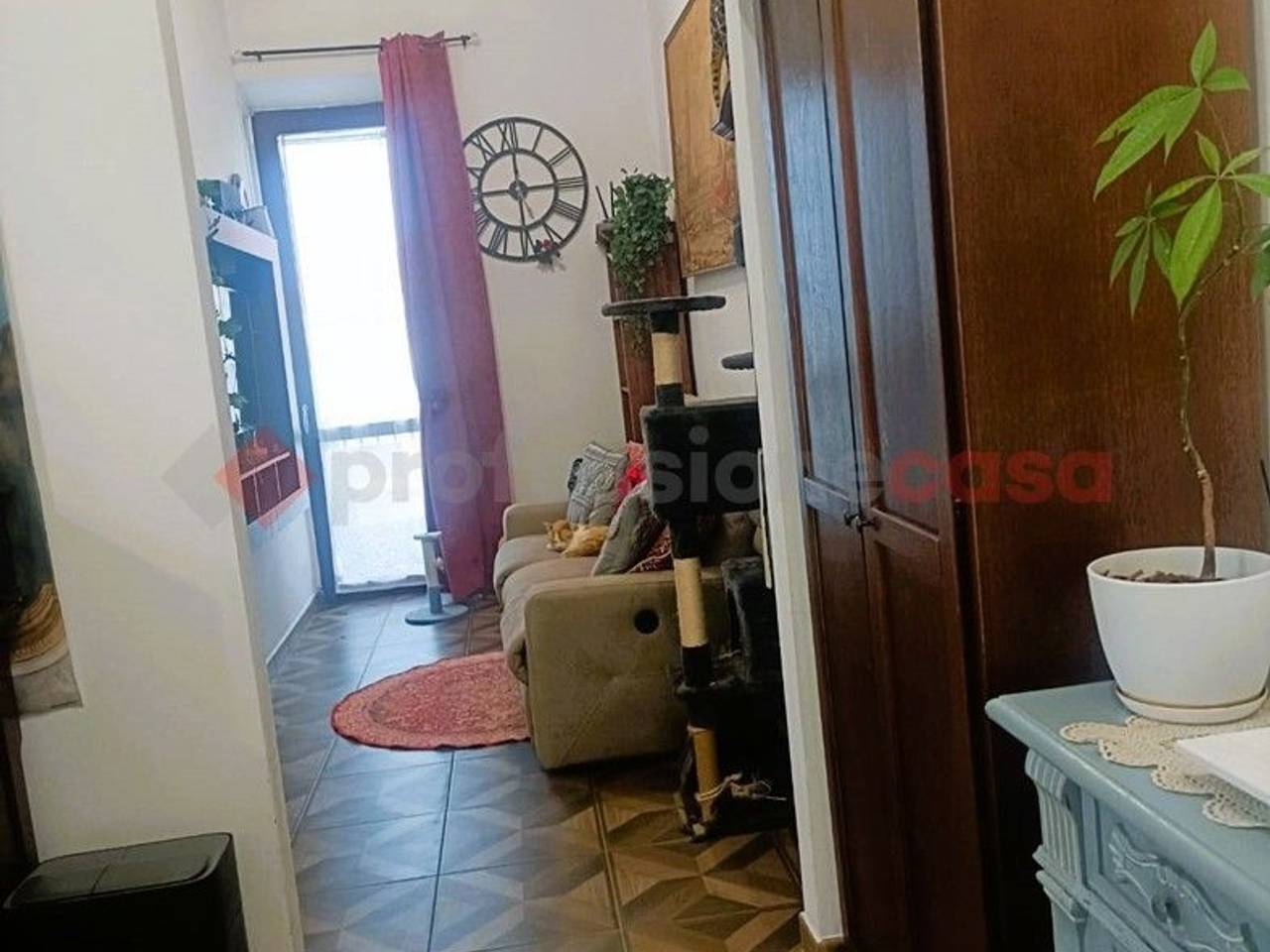 immagine annuncio 11 di 14