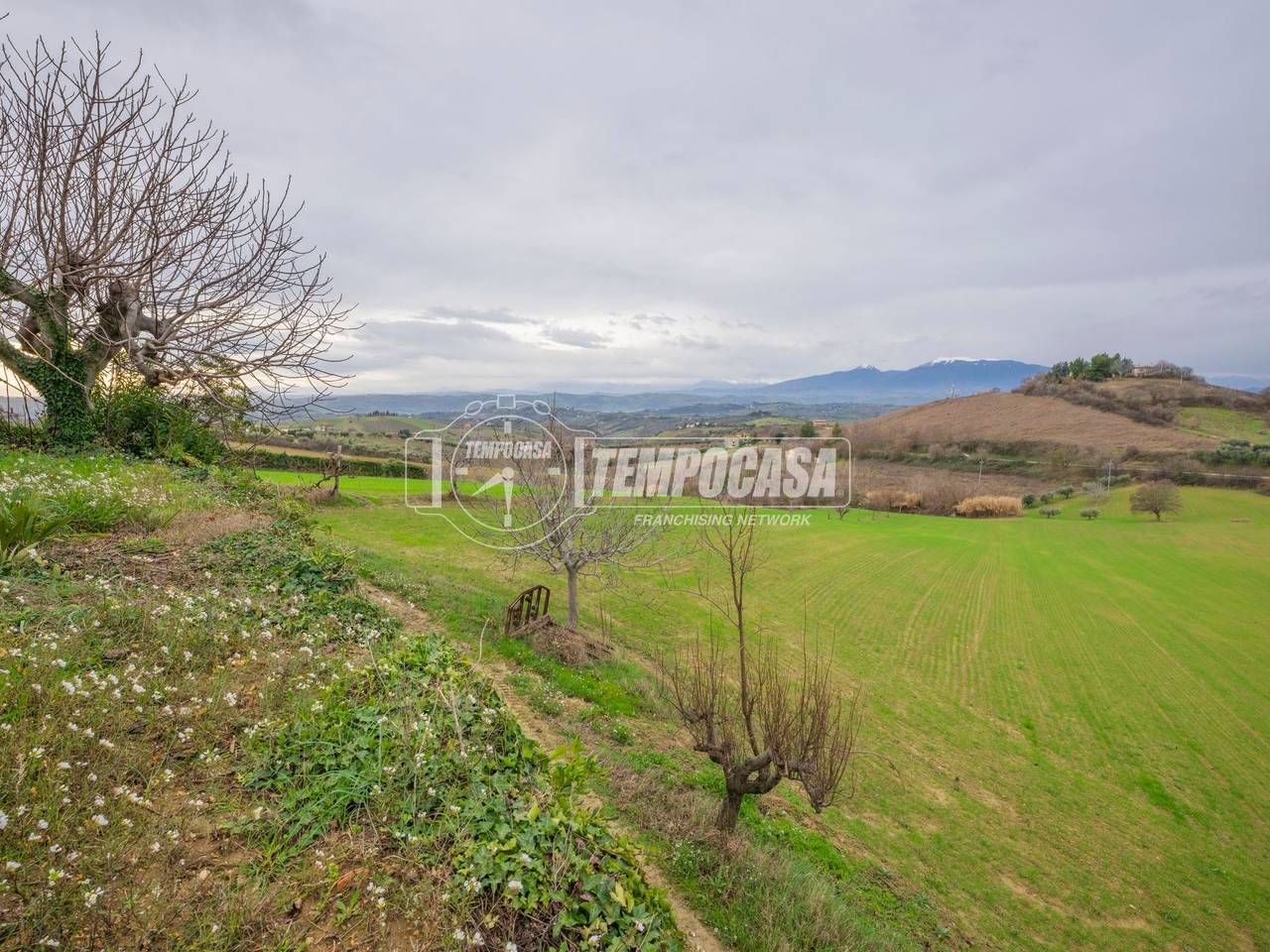 immagine annuncio 1 di 7