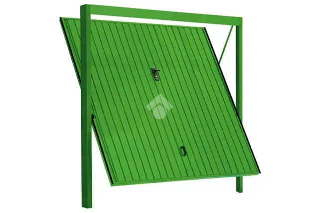insertion image