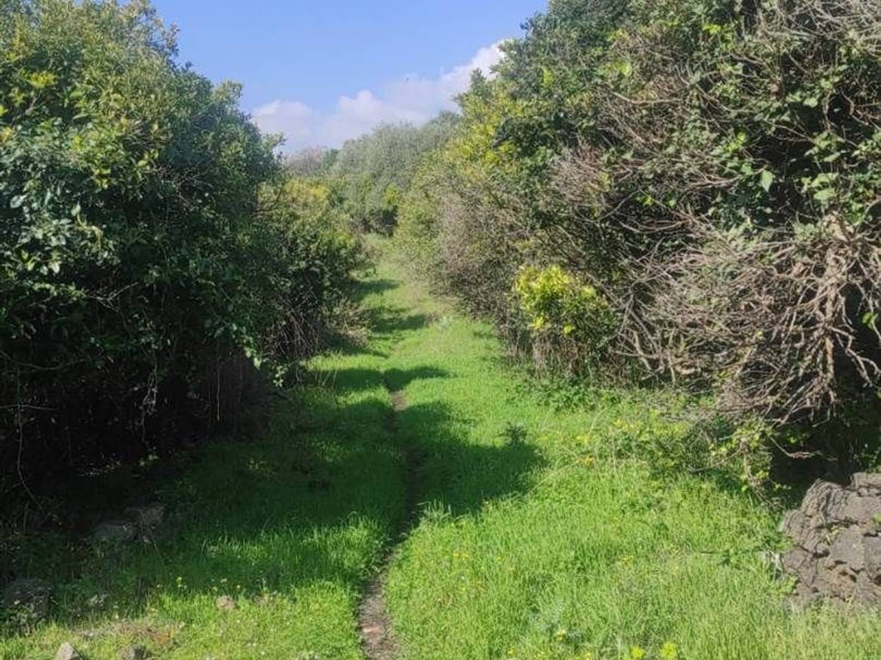 immagine annuncio 5 di 9