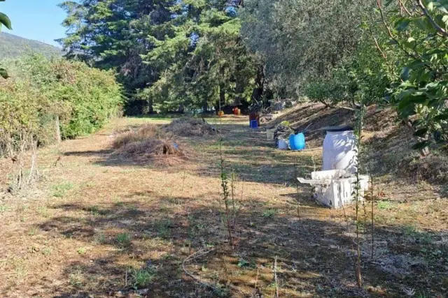 Terreno agricolo, Livorno - Foto 1