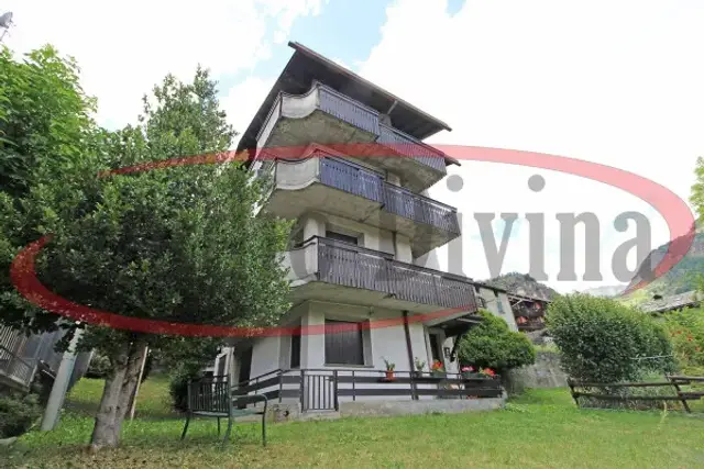 insertion image
