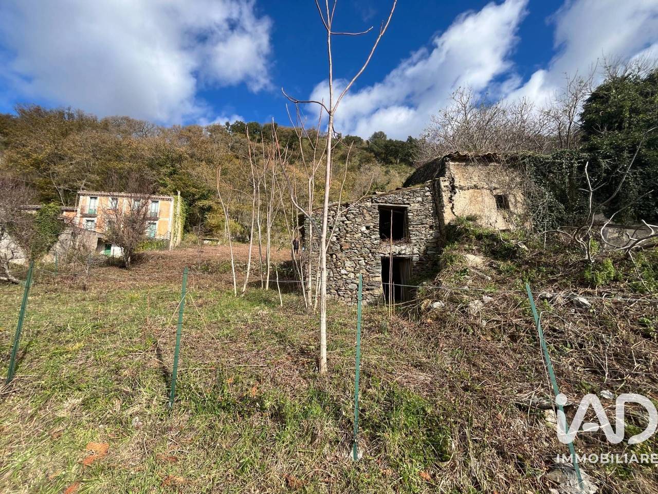 immagine annuncio 5 di 13