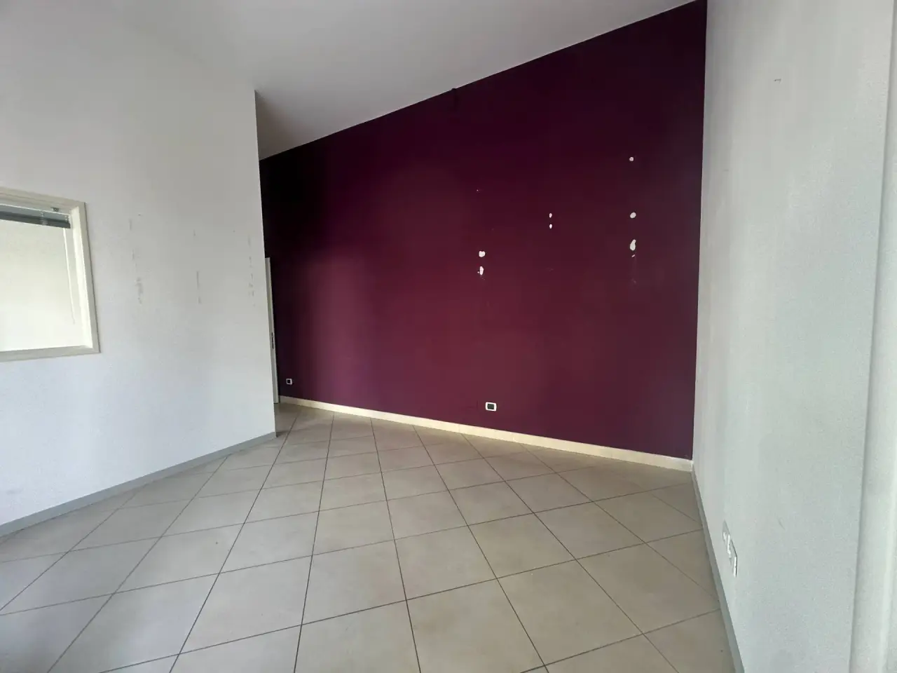 Esercizio commerciale in Via Paulina Buona Parte 163, Viareggio, {3} - Foto 2