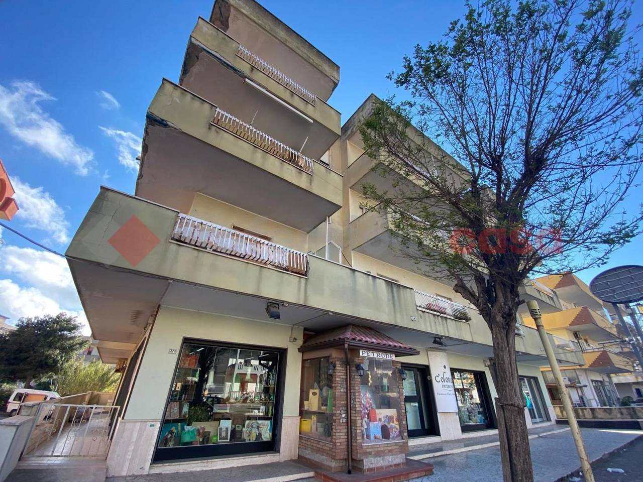 immagine annuncio 2 di 15