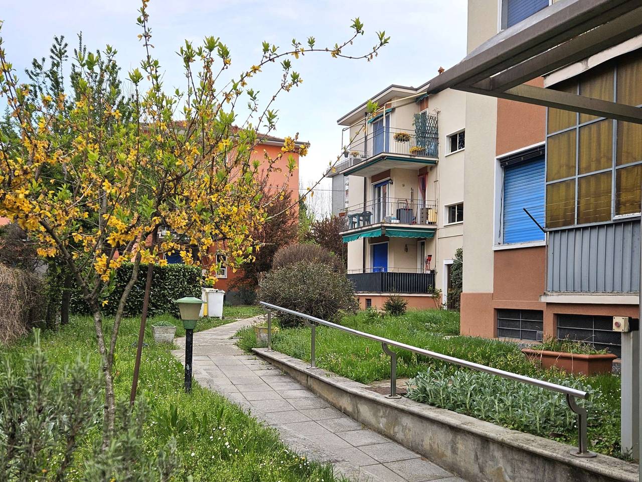 immagine annuncio 10 di 15