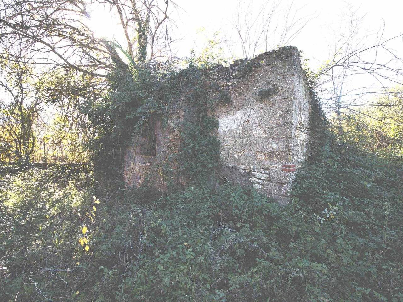 immagine annuncio 5 di 12