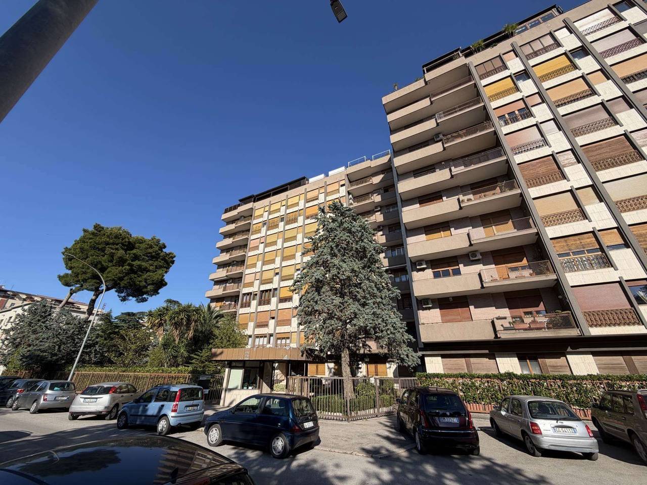 immagine annuncio 3 di 6