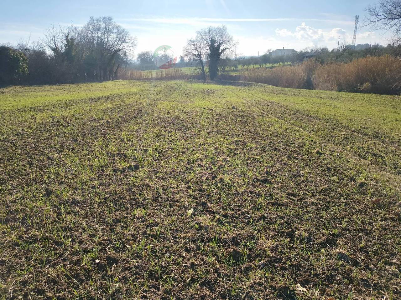 immagine annuncio 12 di 14